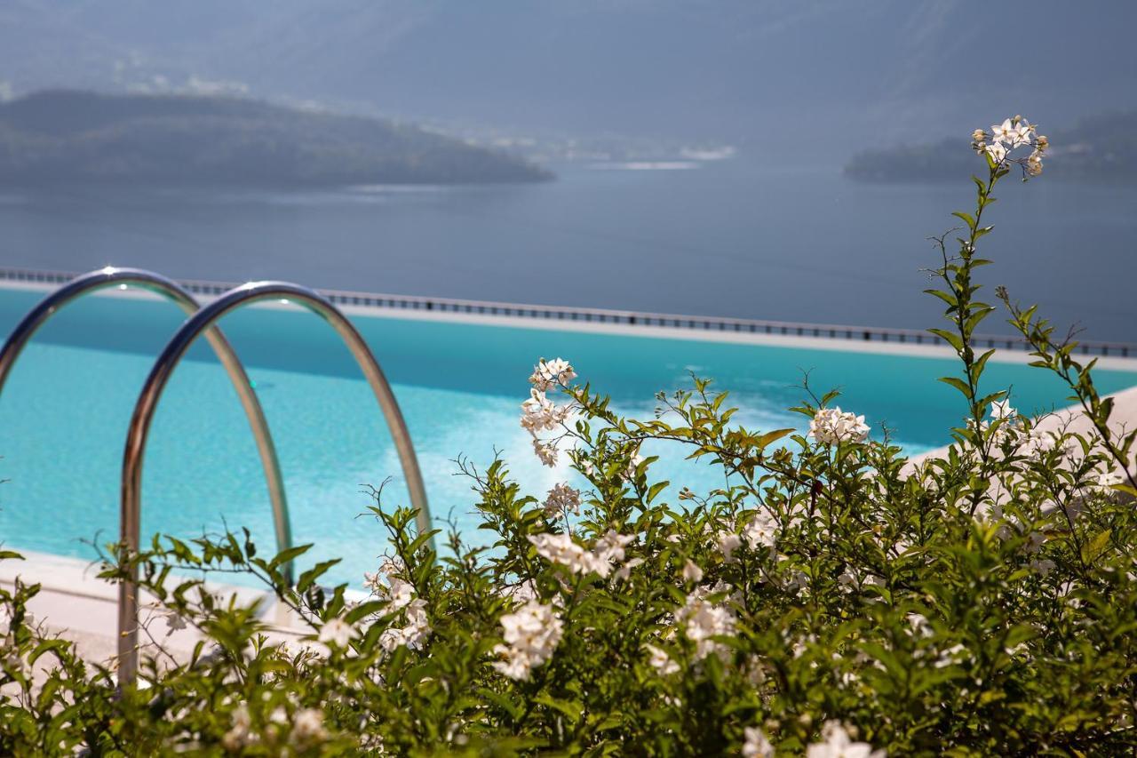 Residence Cafelicita - Promotion - Apartments Lake View - Infinity Pool - Jacuzzi Gravedona Exteriér fotografie